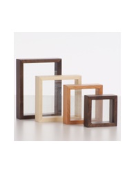 Insects  Frames 